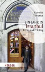 Ein Jahr in Istanbul