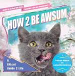 How 2 Be Awsum: A Lolcat Guide 2 Life