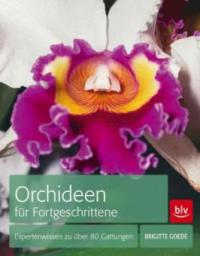 Orchideen für Fortgeschrittene - Brigitte Goede