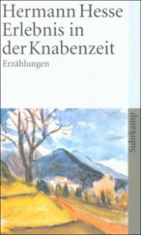 Erlebnis in der Knabenzeit - Hermann Hesse