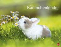 Kaninchenkinder Posterkalender 2015 - Monika Wegler