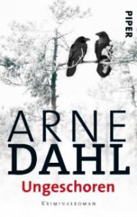 Ungeschoren - Arne Dahl