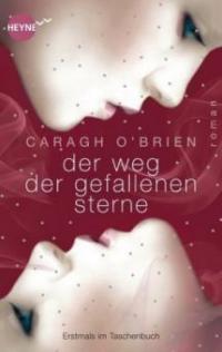 Der Weg der gefallenen Sterne - Caragh O'Brien