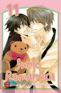 Junjo Romantica. Bd.11 - Shungiku Nakamura