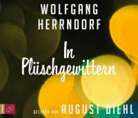 In Plüschgewittern, 3 Audio-CDs - Wolfgang Herrndorf