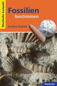 Fossilien bestimmen KOMPAKT - Andrea Rohde