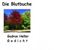 Die Blutbuche - Gudrun Heller