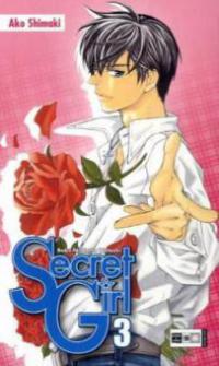 Secret Girl. Bd.3 - Ako Shimaki