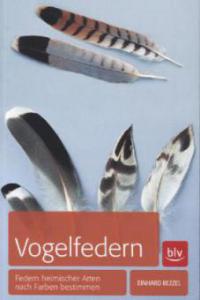 Vogelfedern - Einhard Bezzel