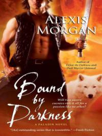 Bound by Darkness - Alexis Morgan