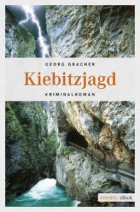 Kiebitzjagd - Georg Gracher