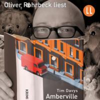 Amberville, 9 Audio-CDs - Tim Davys