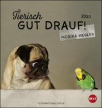 Tierisch gut drauf Postkartenkalender 2020 - Monika Wegler