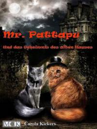 Mr. Pattapu und das Geheimnis des alten Hauses - Carola Kickers