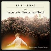 Junge rettet Freund aus Teich, 4 Audio-CD - Heinz Strunk