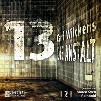 Dreizehn. Die Anstalt, 1 MP3-CD - Carl Wilckens