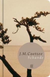 Schande - J. M. Coetzee