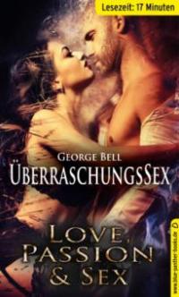 Überraschungssex mit einer Unbekannten | Erotische Geschichte - George Bell