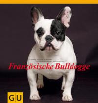 Französische Bulldogge - Susanne Saller-Schneider