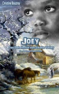 Joey-Das Geheimnis von Swake Valley - Christine Bouzrou