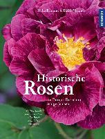 Historische Rosen - Hella Brumme, Eilike Vemmer
