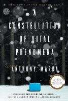 A Constellation of Vital Phenomena - Anthony Marra