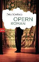 Opernroman - Petra Morsbach