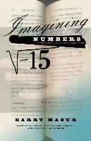 Imagining Numbers - Barry Mazur