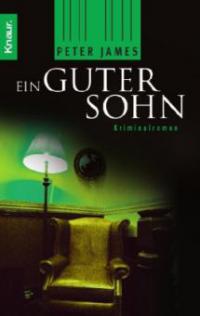 Ein guter Sohn - Peter James