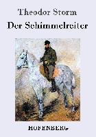 Der Schimmelreiter - Theodor Storm