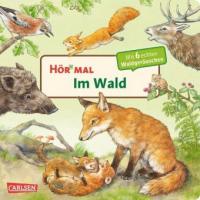 Hör mal: Im Wald - Anne Möller