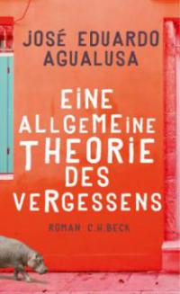Eine allgemeine Theorie des Vergessens - José Eduardo Agualusa