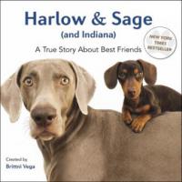 Harlow & Sage (and Indiana) - Brittni Vega