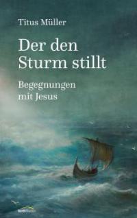 Der den Sturm stillt - Titus Müller