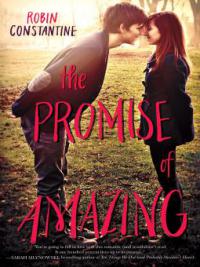 The Promise of Amazing - Robin Constantine