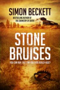 Stone Bruises - Simon Beckett