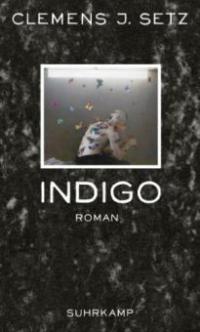 Indigo - Clemens J. Setz