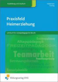 Praxisfeld Heimerziehung - Wilhelm Heidemann, Heinrich Greving
