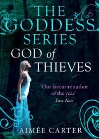 God Of Thieves (The Goddess Series) (A Goddess Series short story, Book 7) - Aimée Carter