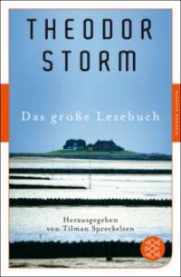 Das große Lesebuch - Theodor Storm