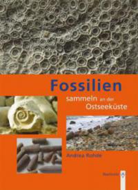 Fossilien sammeln an der Ostseeküste - Andrea Rohde