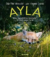 Ayla - meine ungewöhnliche Freundschaft mit einem jungen Fuchs - Silje Elin Matnisdal, Leiv Magnus Grøtte
