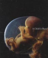 A Child is Born - Lennart Nilsson, Lars Hamberger