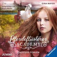 Pferdeflüsterer-Academy. Calypsos Fohlen [6] - Gina Mayer