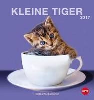 Katzen Postkartenkalender 2017 - 