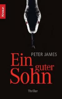 Ein guter Sohn - Peter James