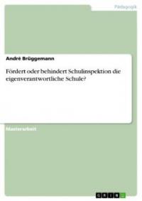 Fördert oder behindert Schulinspektion die eigenverantwortliche Schule? - André Brüggemann