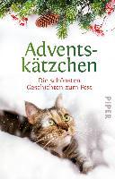 Adventskätzchen - 