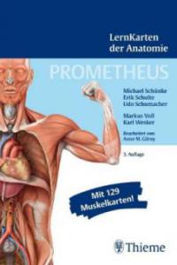 Prometheus, LernKarten der Anatomie - Michael Schünke, Udo Schumacher, Erik Schulte, Markus Voll, Karl Wesker