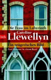 Die Frau im Labyrinth. Ein trügerisches Bild - Caroline Llewellyn